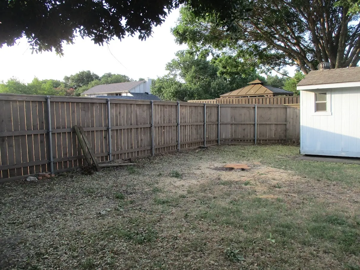 Cleared yard after professional tree removal in Pineview